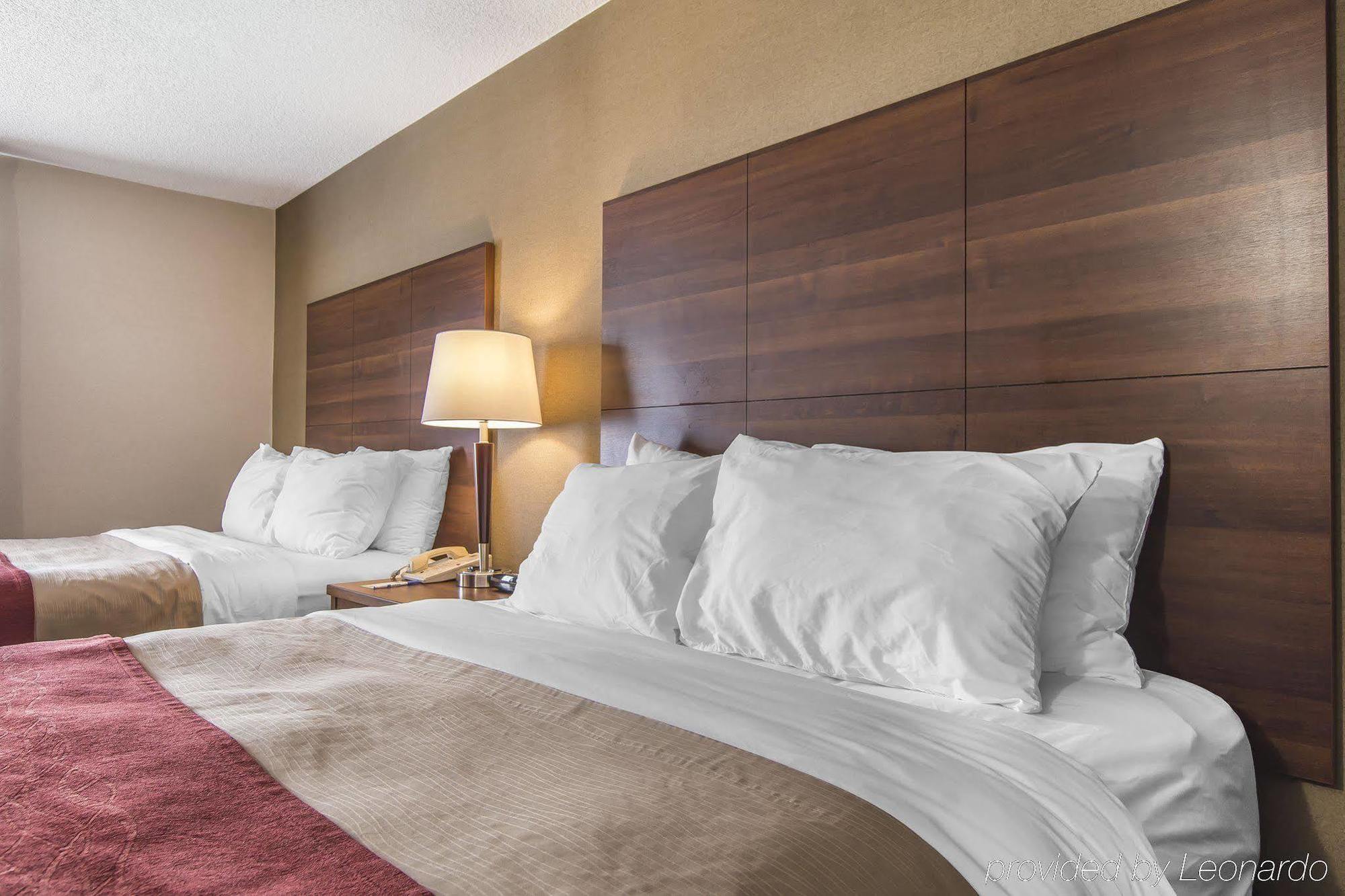 הנטסוויל Comfort Inn מראה חיצוני תמונה